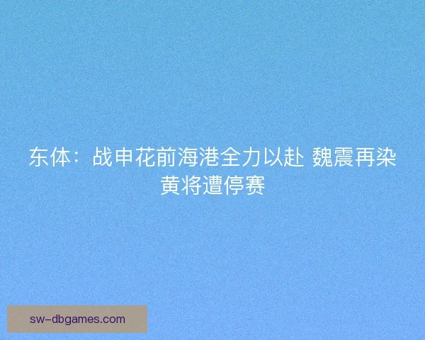 东体：战申花前海港全力以赴 魏震再染黄将遭停赛